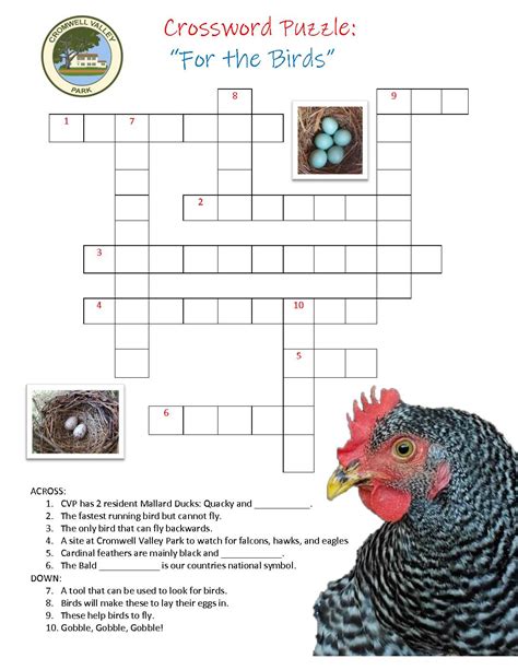 The Crossword Solver found 30 answers to "black bird", 5 letters crossword clue. . Roasted bird crossword clue